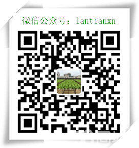 供應(yīng)用于無(wú)土栽培技術(shù)|水培技術(shù)的廣東有機(jī)生態(tài)無(wú)土栽培技術(shù)合作