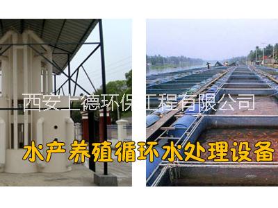 浙江杭州水產(chǎn)養(yǎng)殖循環(huán)水設(shè)備|循環(huán)水養(yǎng)殖設(shè)計方案|水產(chǎn)養(yǎng)殖水處理設(shè)備