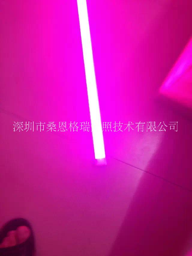 全光譜精準(zhǔn)化針對(duì)性LED補(bǔ)光 熱銷全光譜精準(zhǔn)化針對(duì)性植物補(bǔ)光燈