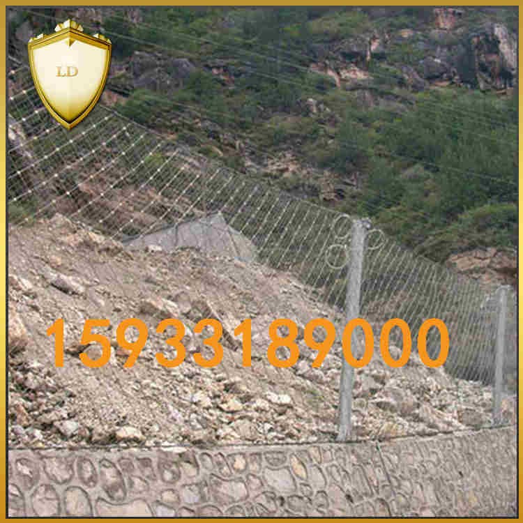 rxi被動(dòng)防護(hù)網(wǎng)廠家 質(zhì)優(yōu)價(jià)廉