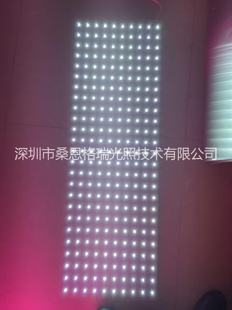 蔬菜工廠*植物補(bǔ)光燈深圳廠家 植物工廠*植物補(bǔ)光燈深圳廠家