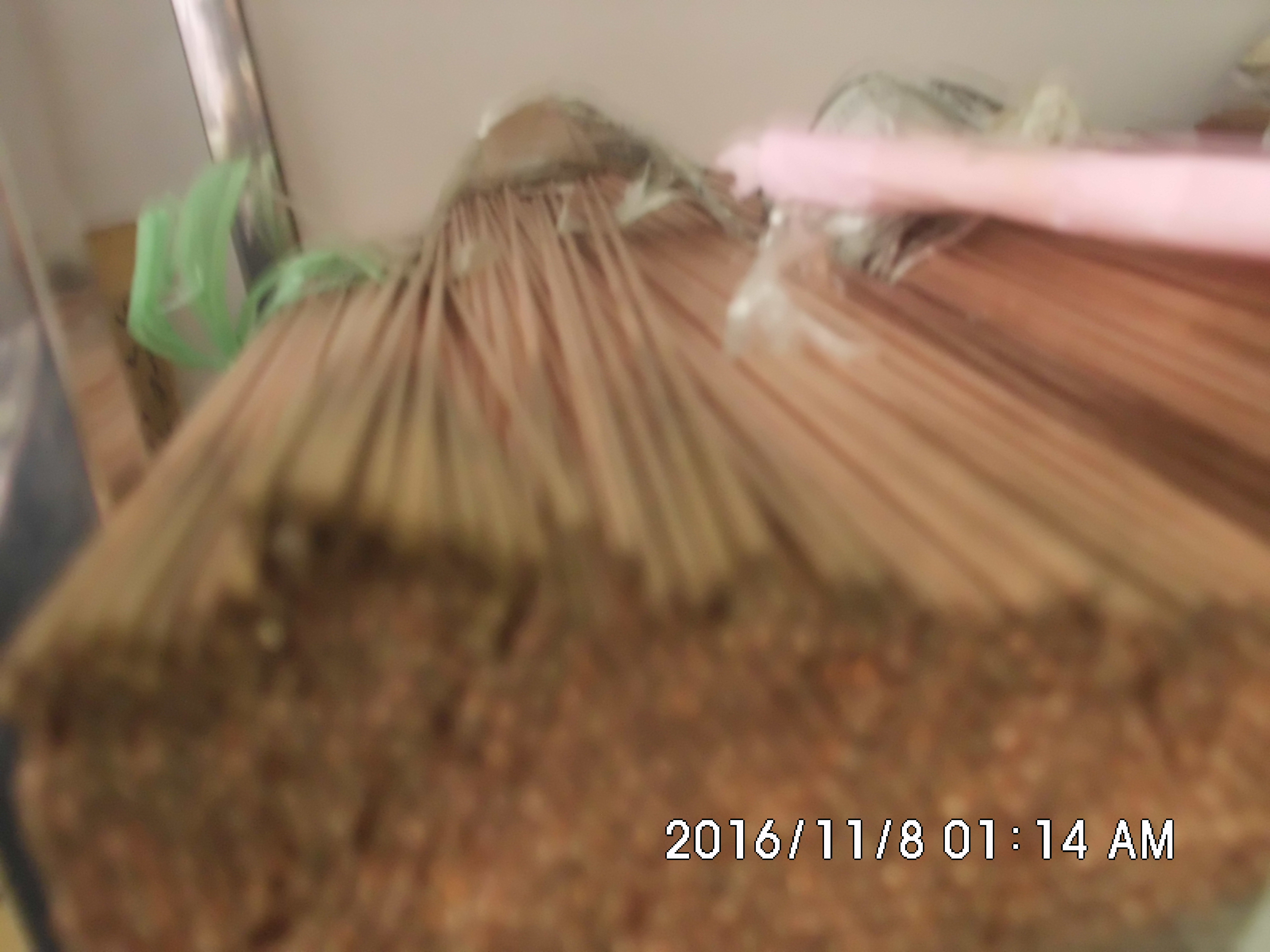 點(diǎn)焊針 進(jìn)口點(diǎn)焊針 電池點(diǎn)焊針 18650點(diǎn)焊針