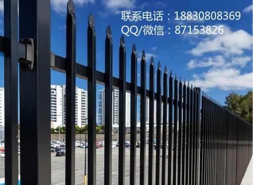 BA-TY001安裝簡(jiǎn)易小區(qū)廠房道路常用鋅鋼鐵藝防護(hù)柵欄