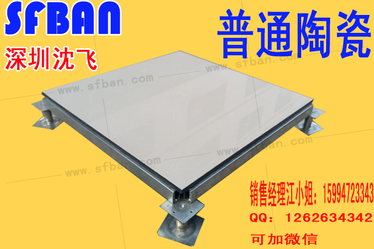 深飛非標(biāo)陶瓷高架地板 廠家直銷 *惠 質(zhì)量有保證 支持開(kāi)票 深圳防靜電地板