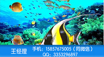 浙江臺(tái)州耐高溫墨水光柵板印花機(jī)供應(yīng)廠家直銷價(jià)格
