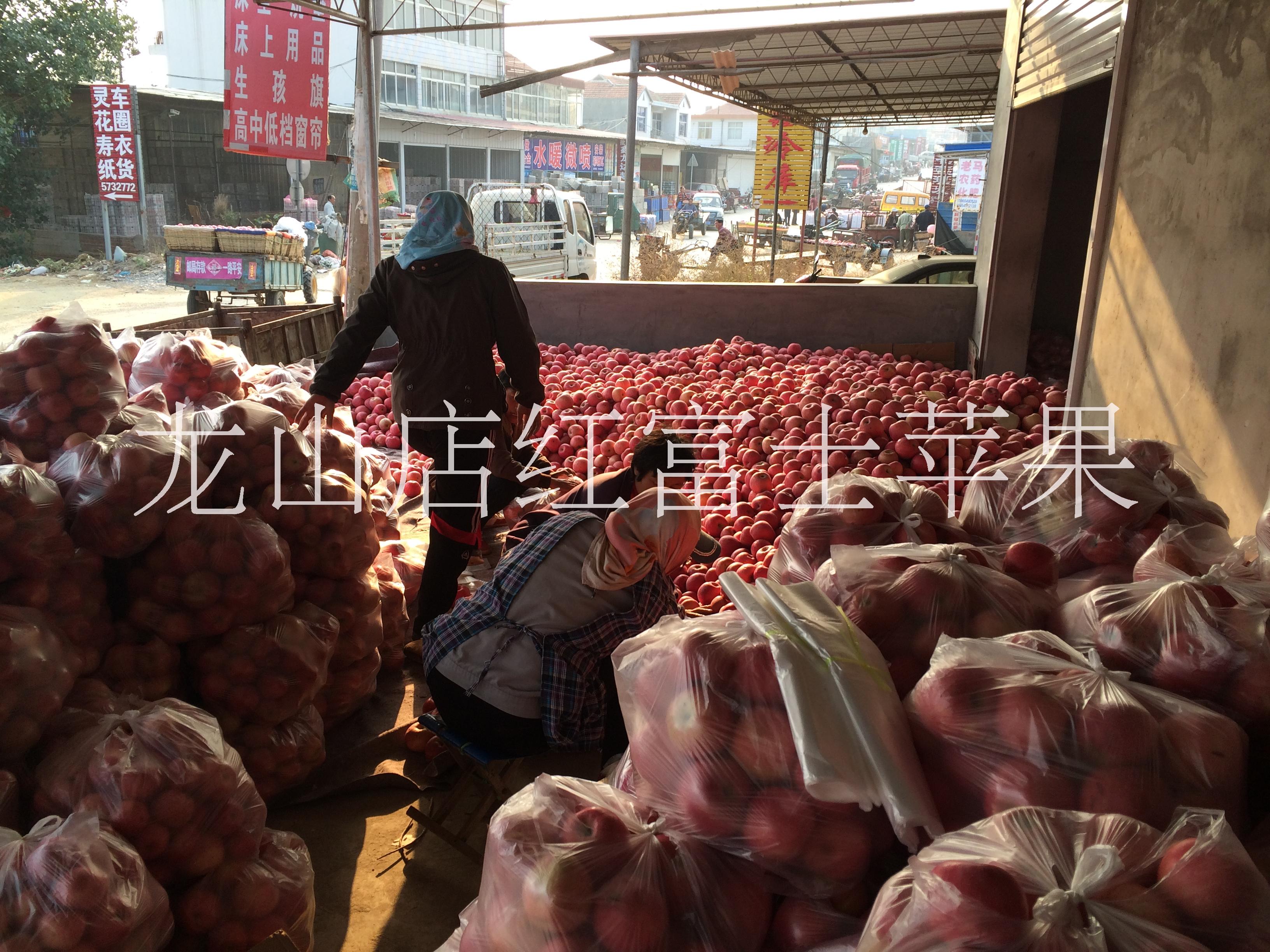供應(yīng)煙臺蓬萊龍山店紅富士蘋果*