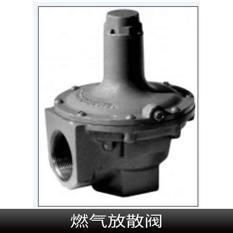 燃?xì)夥派㈤y產(chǎn)品 燃?xì)夥派㈤y批發(fā) 燃?xì)夥派㈤y現(xiàn)貨 燃?xì)夥派㈤y價(jià)格