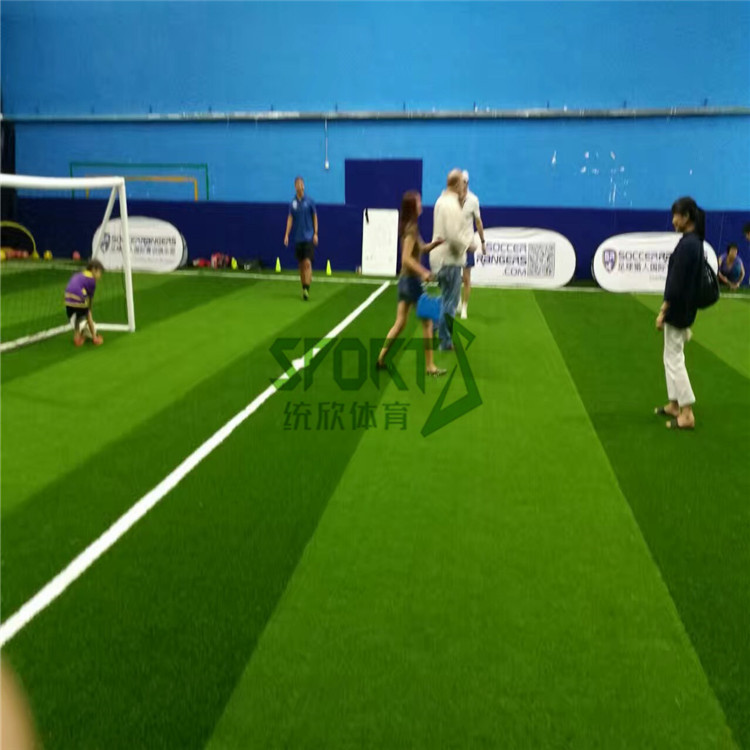 杭州人造草坪足球場(chǎng)報(bào)價(jià)  杭州人造草坪足球場(chǎng)施工  杭州人造草坪足球場(chǎng)廠(chǎng)家