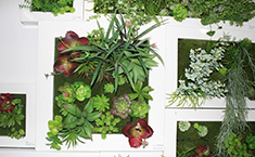 貴陽植物墻公司*出售室內(nèi)綠化裝飾材料，貴州仿真植物屏壁批發(fā)