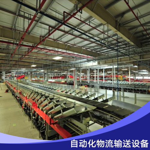 興順聯(lián)自動(dòng)化物流輸送設(shè)備 自動(dòng)分揀物流輸送流水線輸送機(jī)  廣州自動(dòng)化物流輸送設(shè)備生產(chǎn)廠家