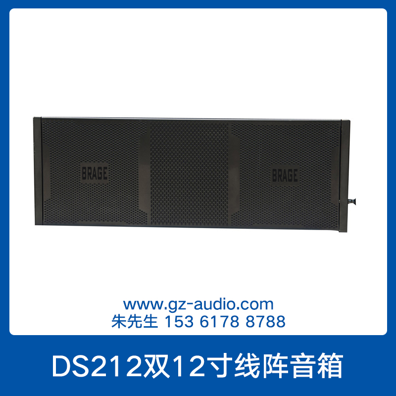 DS212雙12寸線陣音箱 舞臺遠(yuǎn)射程大功率高音專業(yè)線性陣列音響