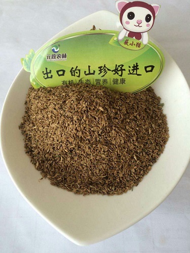 秋季苔菜種子批發(fā)