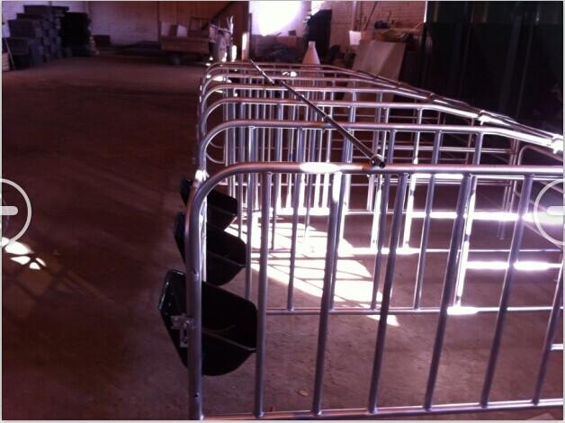 供應(yīng)豬用定位欄?母供應(yīng)豬用定位欄?母豬定位欄?母豬限位欄?豬用限位欄?每套十個豬定位欄?母豬