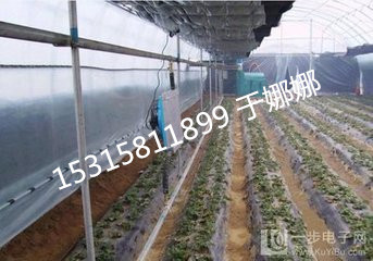 雞舍、兔舍*取暖設(shè)備養(yǎng)殖加溫鍋廠家熱銷(xiāo)