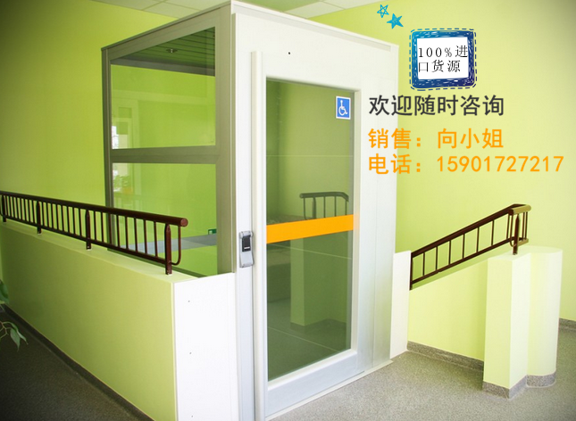 智能高端進(jìn)口家用電梯 無底坑螺桿式電梯 您的*之選
