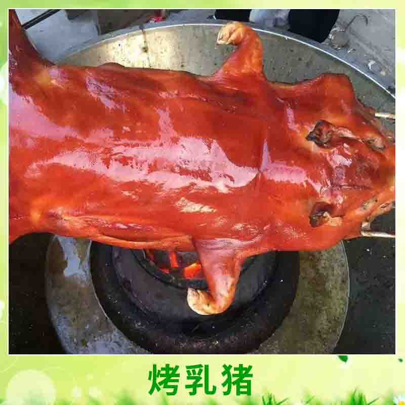 廣式烤乳豬 滿(mǎn)漢全席八珍皮薄柔嫩脆皮烤乳豬精選優(yōu)質(zhì)*整只烤乳豬