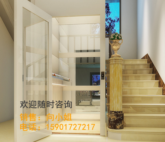 智能高端進(jìn)口家用電梯 無底坑螺桿式電梯 您的*之選