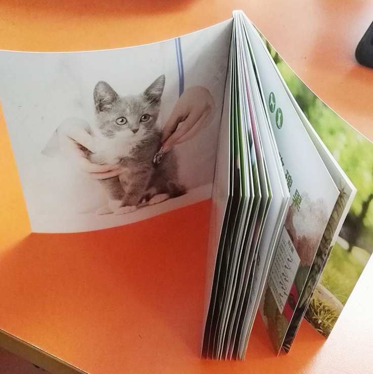 廣告畫冊 企業(yè)畫冊定制 畫冊兒童益智 畫冊兒童4d 畫冊印刷銅版 畫冊設(shè)計