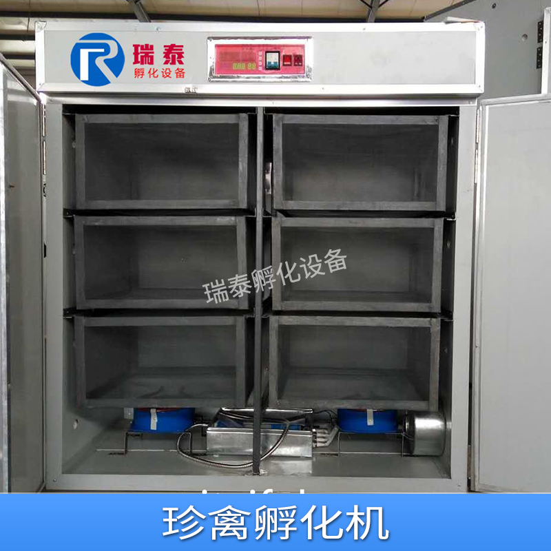 珍禽孵化機(jī)  操作簡單易學(xué) 安全可靠 廠家專業(yè)生產(chǎn)出售