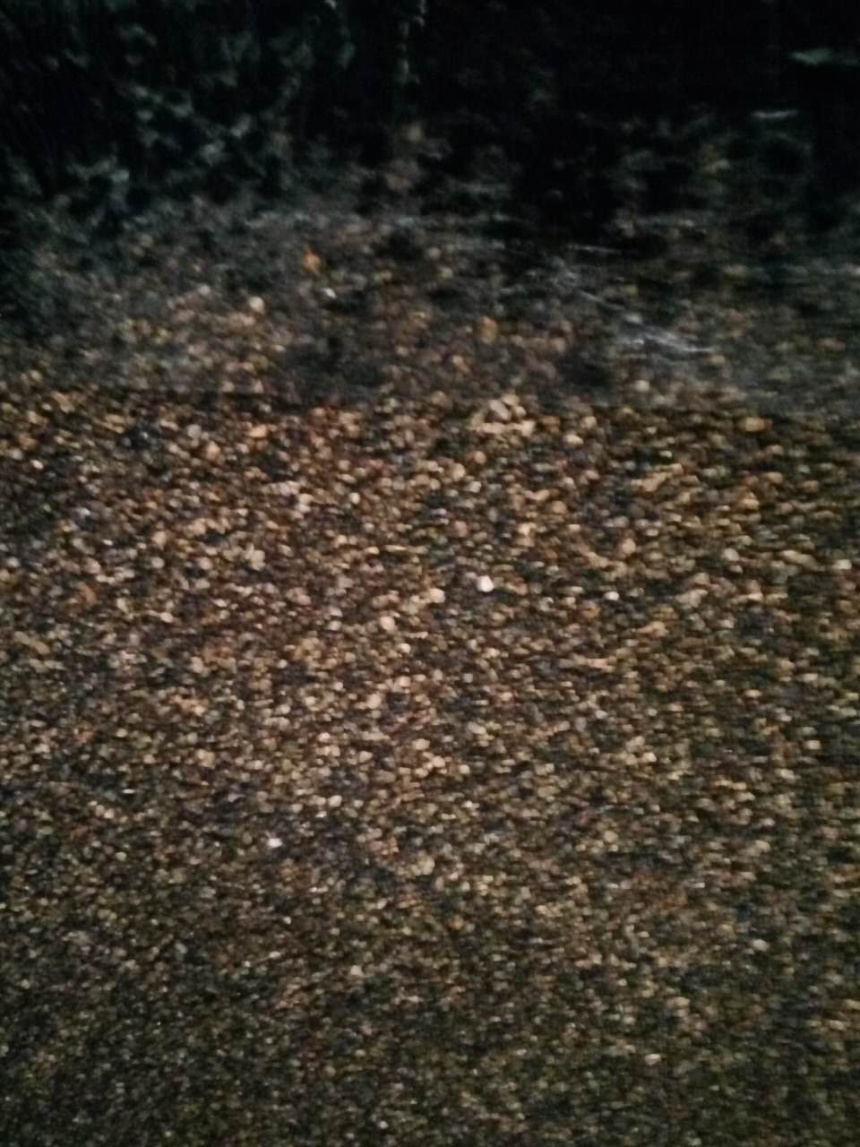 彩鋼瓦*2mm自粘防水卷材 彩鋼瓦*2mm自粘防水卷材改性