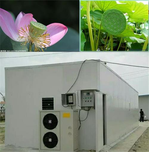 蔬菜烘干改造工程