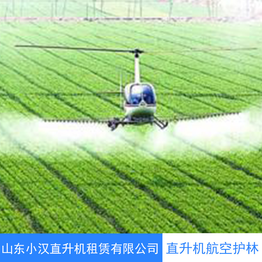 直升機(jī)航空護(hù)林 直升機(jī)護(hù)林滅火 直升機(jī)森林滅火 直升機(jī)農(nóng)業(yè)防護(hù)