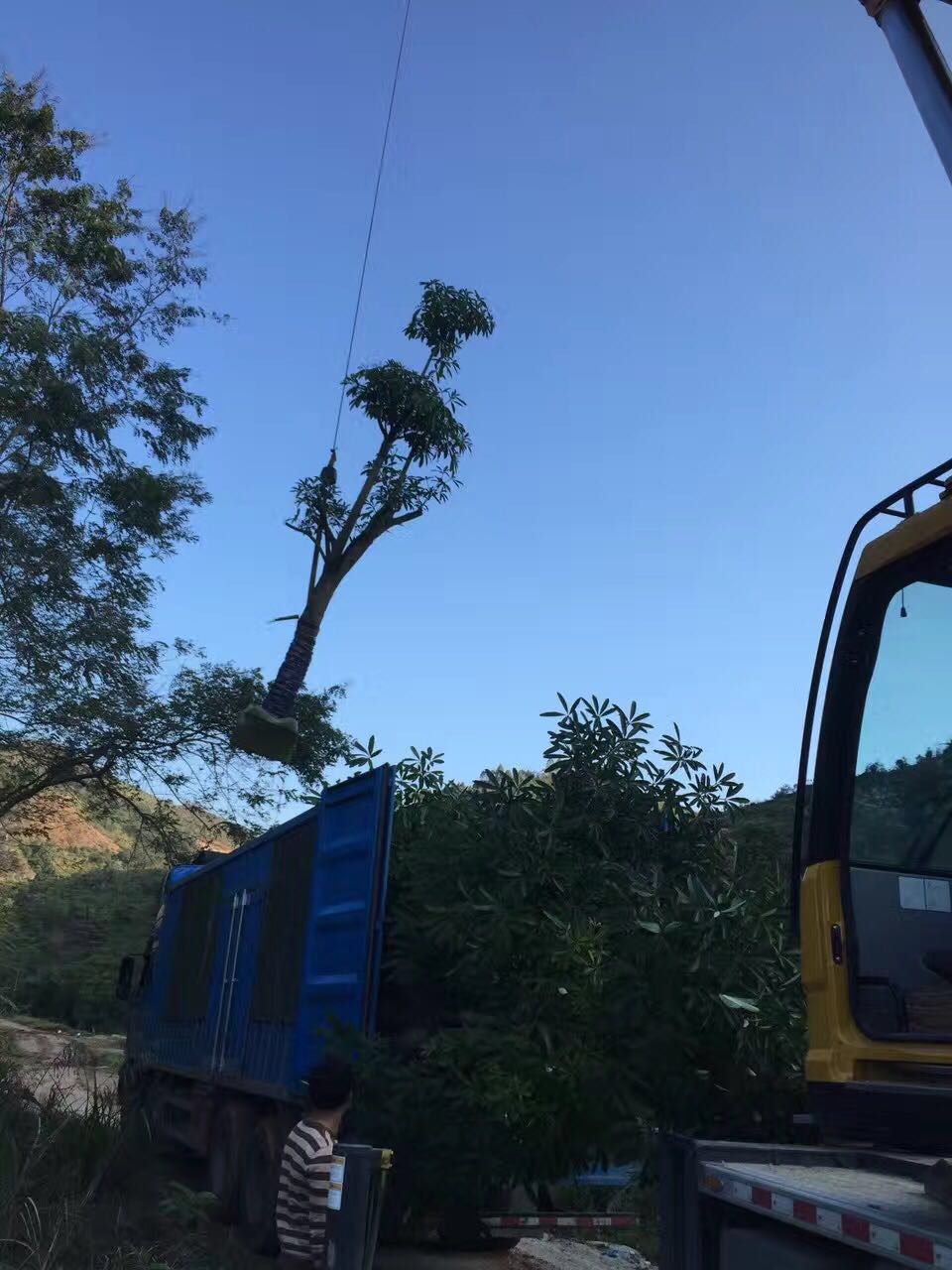 盆架子，廣東盆架子價格，廣東盆架子那家好