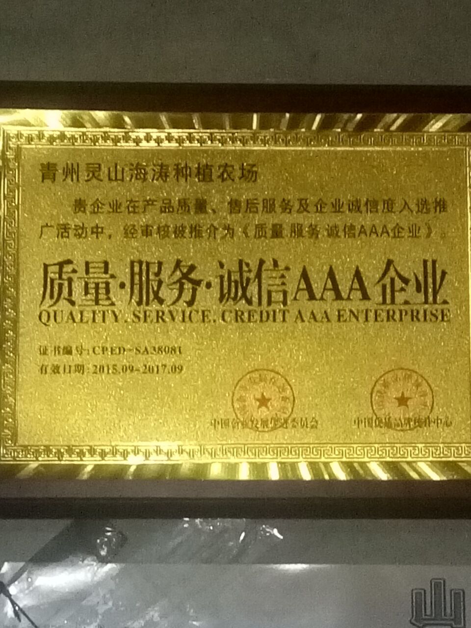 青州濤九紅七號苗批發(fā)價格  晚熟濤九紅七號苗 當年嫁接濤九紅七號