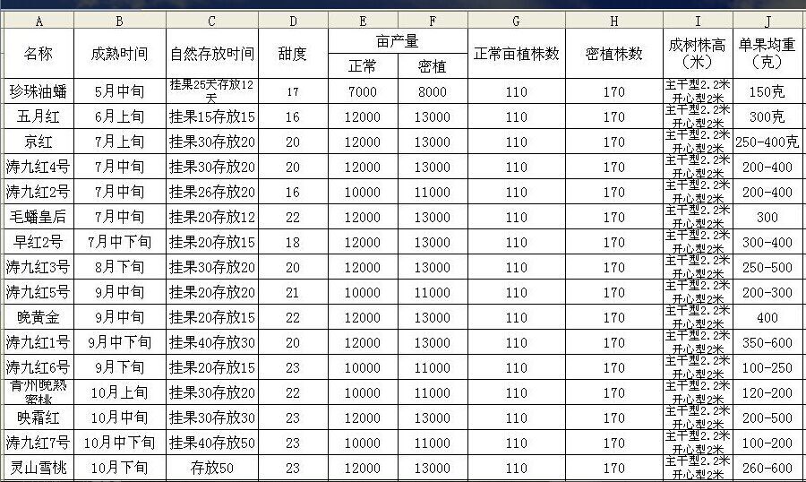青州珍珠油蟠桃苗批發(fā)價(jià)格  早熟珍珠油蟠桃苗 當(dāng)年嫁接珍珠油蟠苗