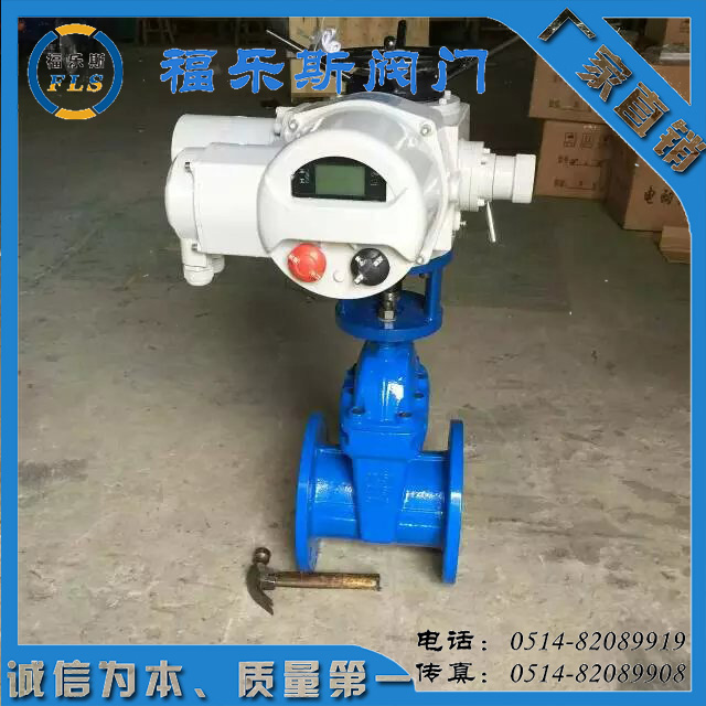 福樂斯 Z10-24W/Z，Z20-24W/T智能型電動執(zhí)行器