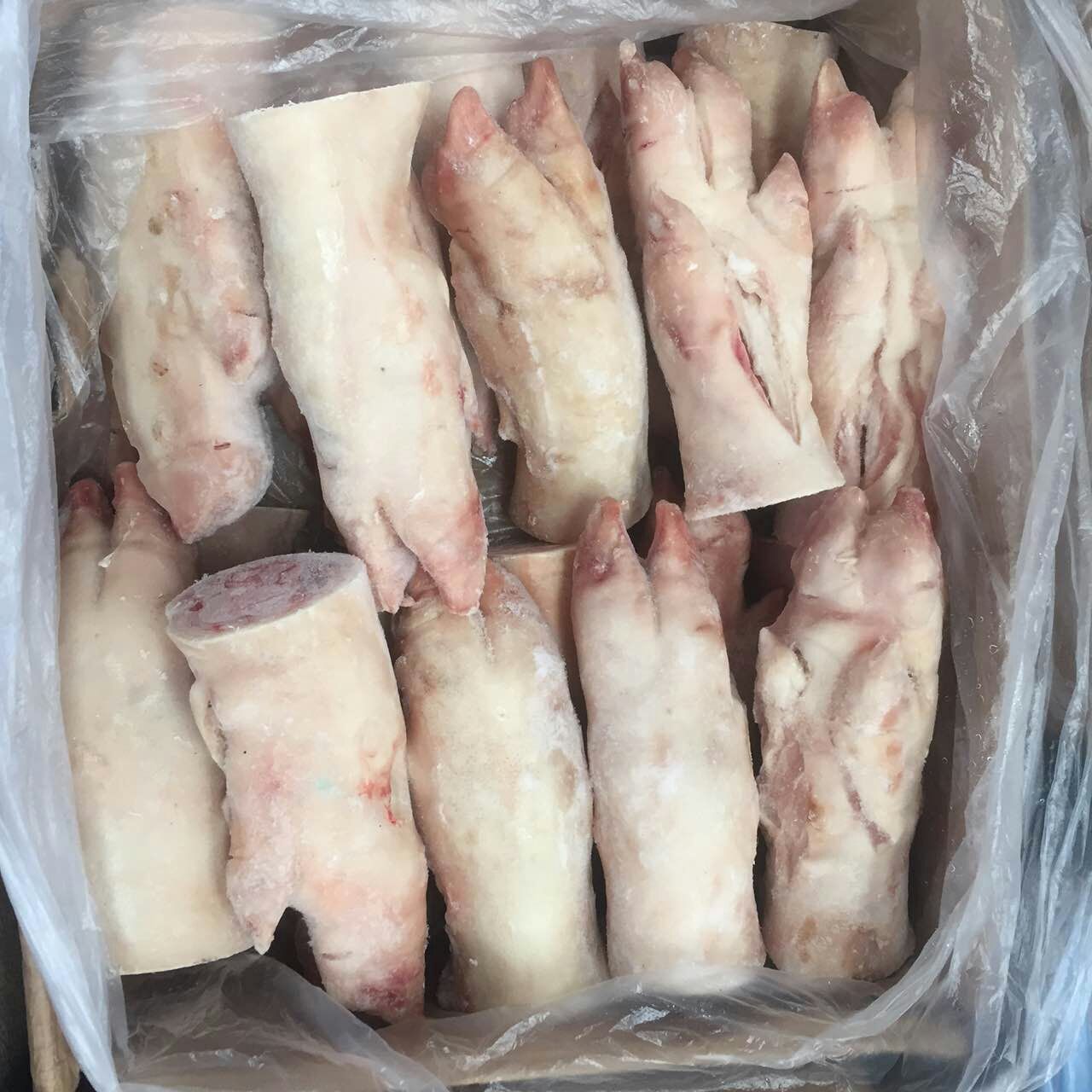 鮮豬蹄哪里有批發(fā)，鮮豬蹄*惠質(zhì)量可靠