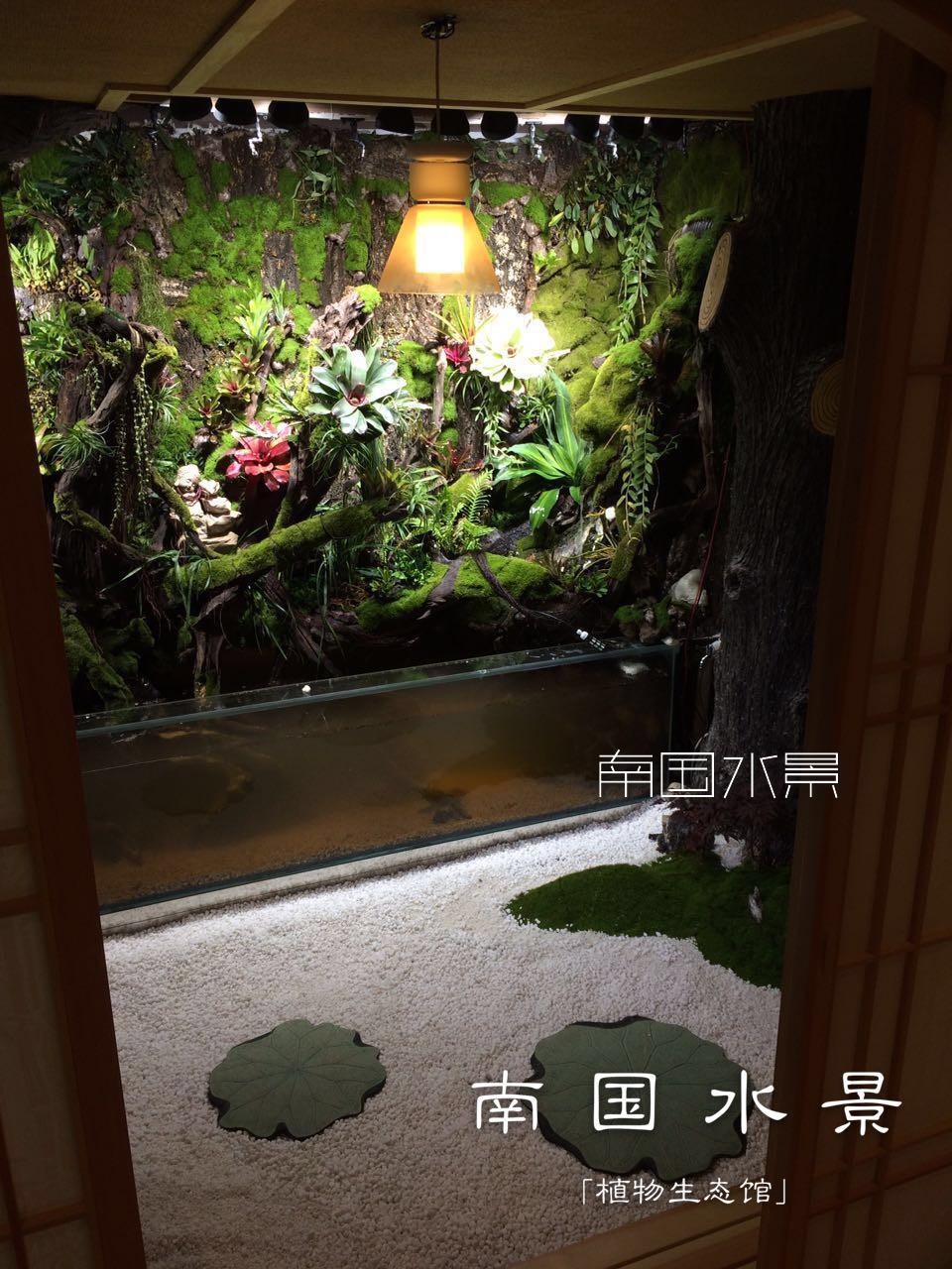 長沙水景設(shè)計施工就找綠蟻人