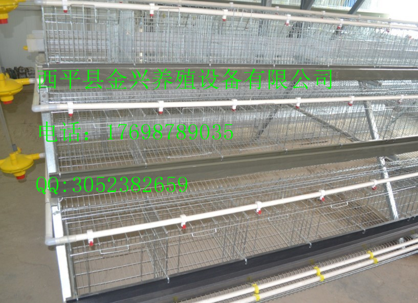 提供專業(yè)的階梯式蛋雞籠、肉雞籠 提供質(zhì)量可靠的各層階梯式蛋雞籠