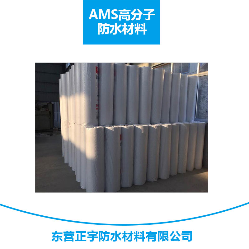 AMS 高分子防水材料 建筑高分子聚乙烯丙綸防水防潮卷材廠家直銷