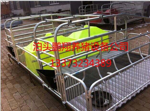 母豬分娩床|母豬產(chǎn)床生產(chǎn)廠直銷 可以放心選擇