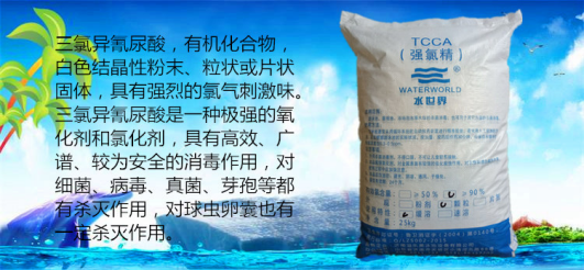 廠家直銷*劑 濟(jì)南溢樂美泳池設(shè)備 *游泳池**劑 濟(jì)南