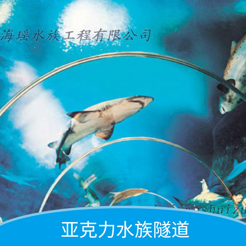亞克力異形魚缸 亞克力水族隧道 亞克力水族批發(fā)