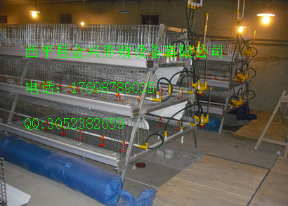 金興為你提供專(zhuān)業(yè)化的養(yǎng)雞設(shè)備