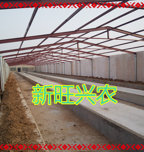 河北新旺興農(nóng)養(yǎng)殖大棚廠家 河北泊頭新旺興農(nóng)養(yǎng)殖大棚廠家