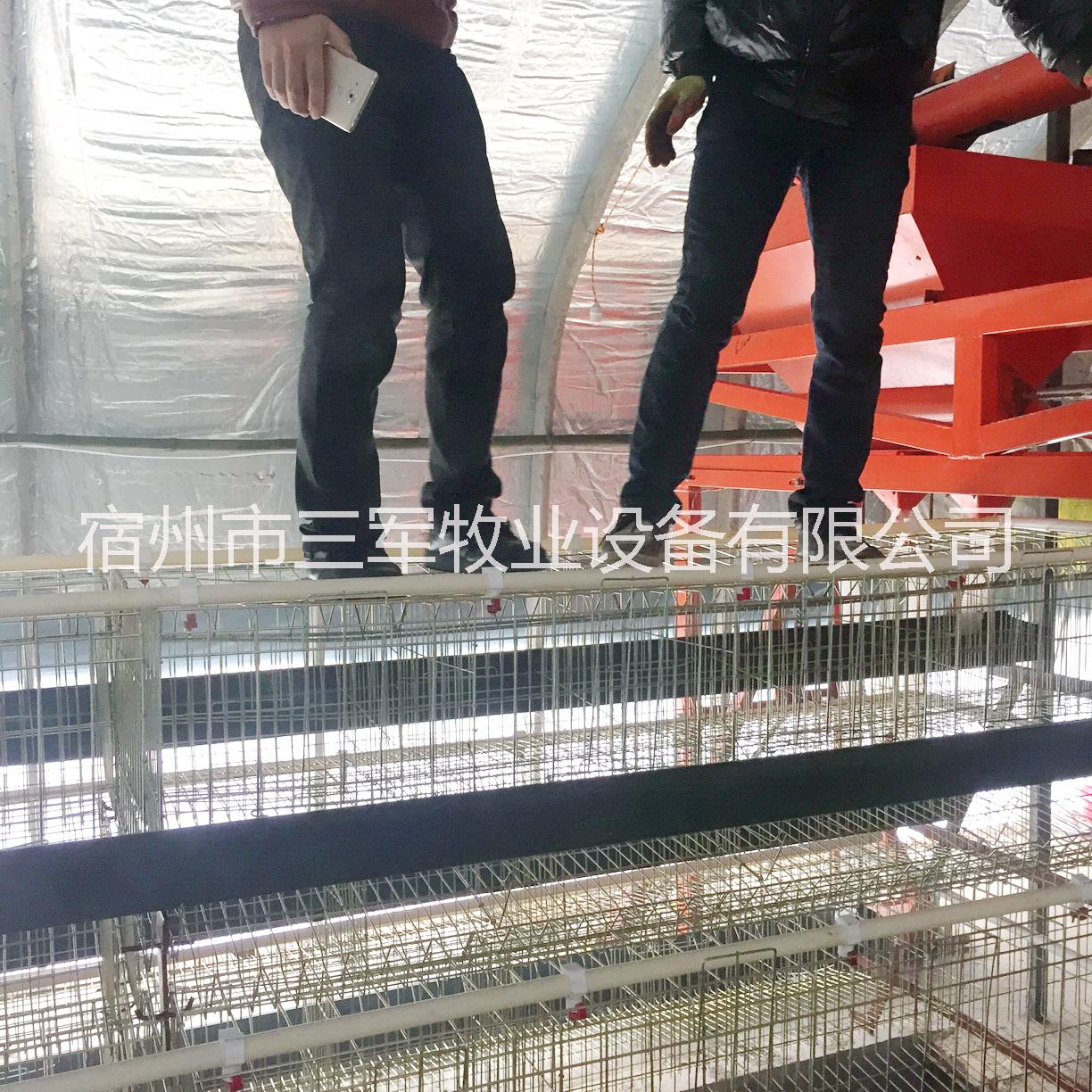 階梯式成套蛋雞籠 三軍牧業(yè)廠家直銷 高強(qiáng)度養(yǎng)殖場(chǎng)雞籠 組裝