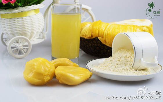海南雙椰生產(chǎn)菠蘿蜜粉，用于固體燃料，菠蘿蜜味口感好