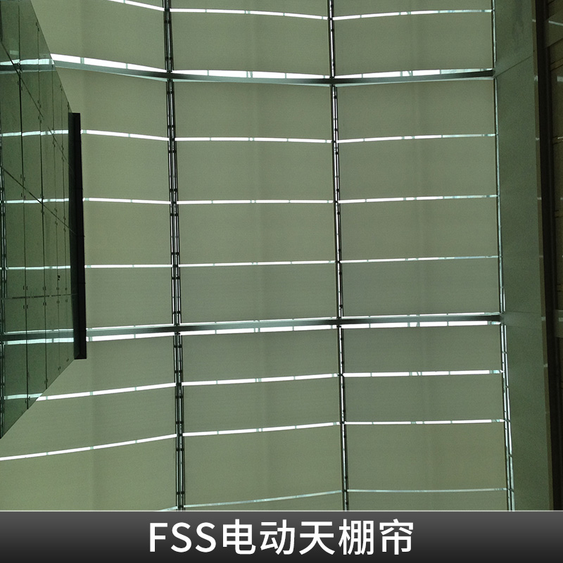 FSS電動(dòng)天棚簾出售陽光房遮陽隔熱隔音風(fēng)琴簾天棚簾遮光窗簾
