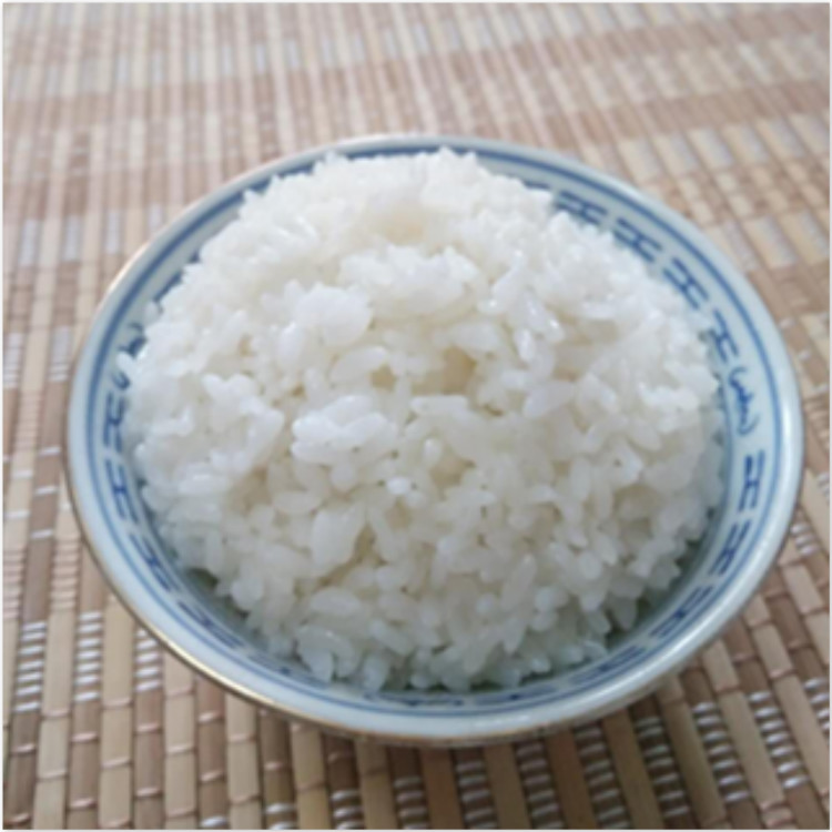 農(nóng)場*5055生態(tài)種植大米