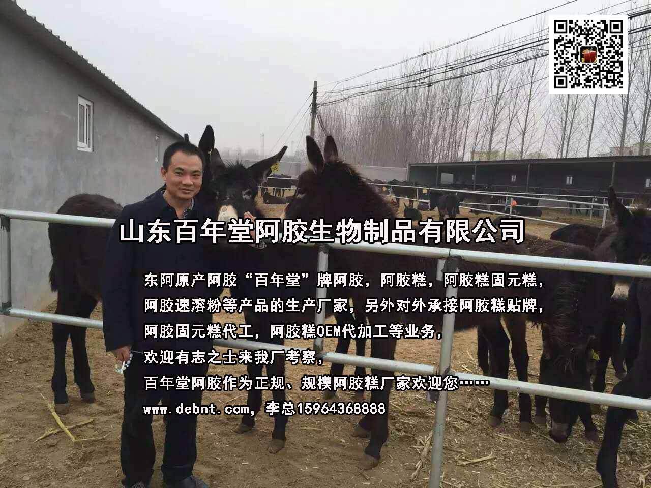 即食阿膠糕*阿膠塊代理阿膠對(duì)接招商合作