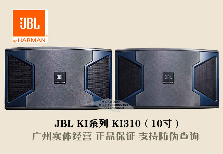 專業(yè)家庭KTV單位工程安裝KI310專業(yè)ktv一拖二音箱全套唱歌