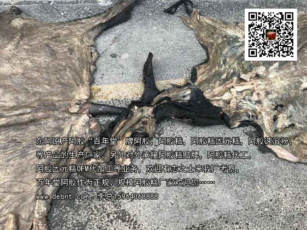 即食阿膠糕*阿膠塊代理阿膠對(duì)接招商合作