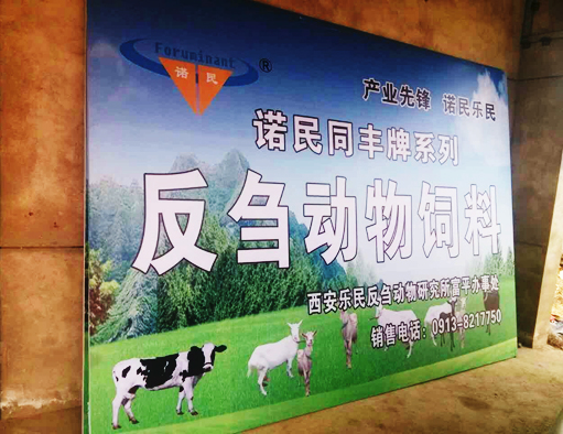 生長育肥牛4%復(fù)合預(yù)混合飼料彼富泰（BC540）牧草 西安諾民彼富泰（BC540） 西安諾民BC540