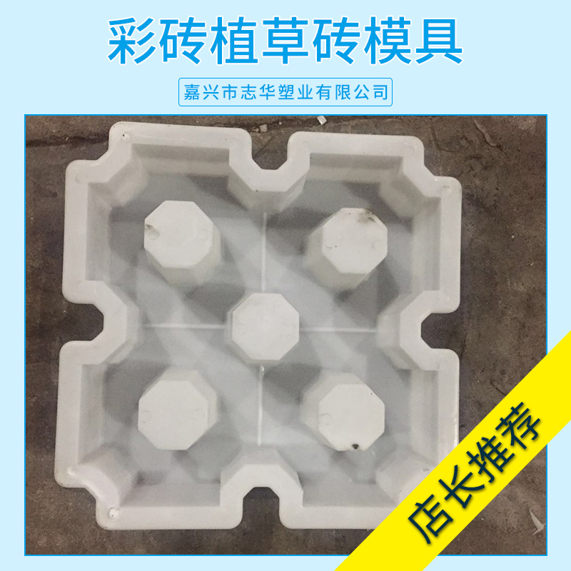 志華塑業(yè)彩磚植草磚模具 水泥彩磚草坪磚易脫塑料模盒廠家定制批發(fā)