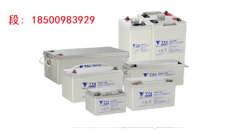 電動(dòng)汽車 動(dòng)力電池 天能電池6- 電動(dòng)汽車 動(dòng)力電池 天能EVF