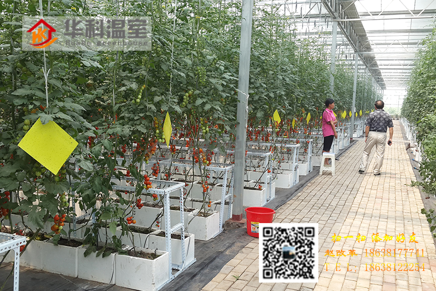河南鄭州|新鄭|中牟溫室大棚廠家價格河南華科溫室工程有限公司